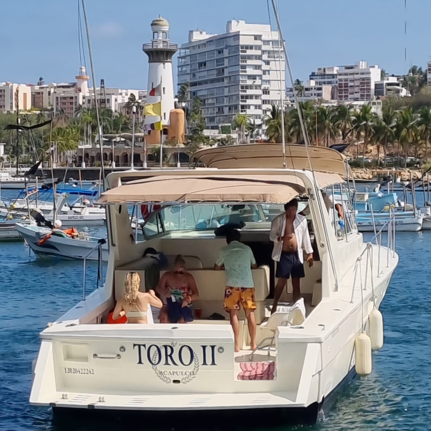 TORO II